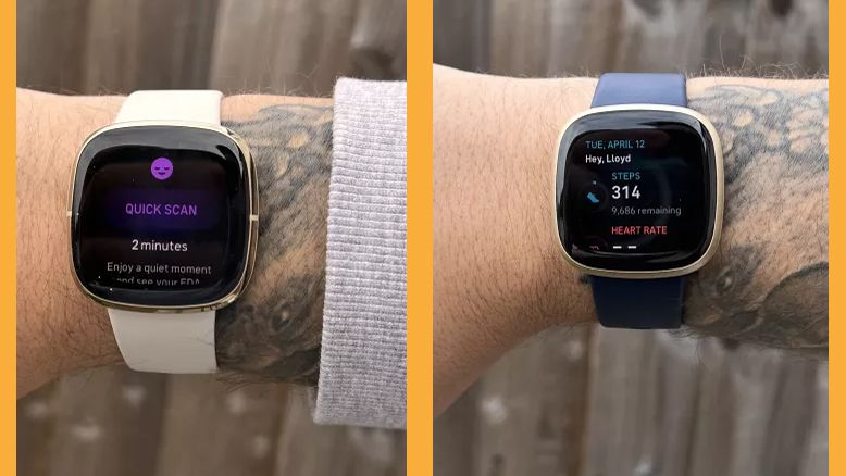 Fitbit Sense vs Fitbit Versa 3