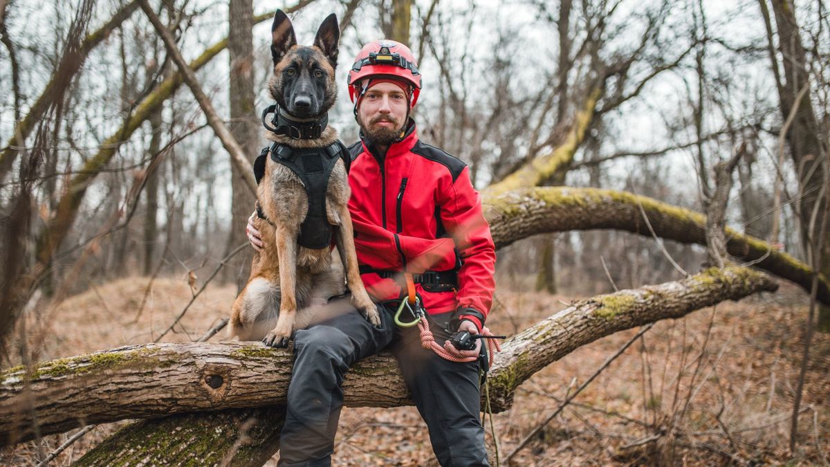 Belgian Malinois tracking dog with search and rescue worker