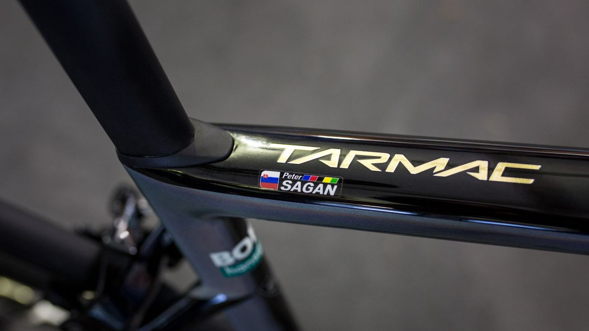 Gold decals and the rainbow stripes for Peter Sagan