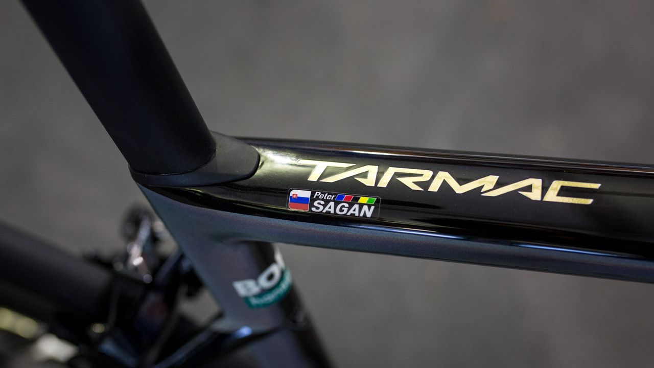 Gold decals and the rainbow stripes for Peter Sagan