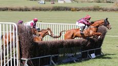 HAH304.p2p_highlights.port_oclock_darren_edwards_pt_highlights_lisa_wood_comm1use.jpg