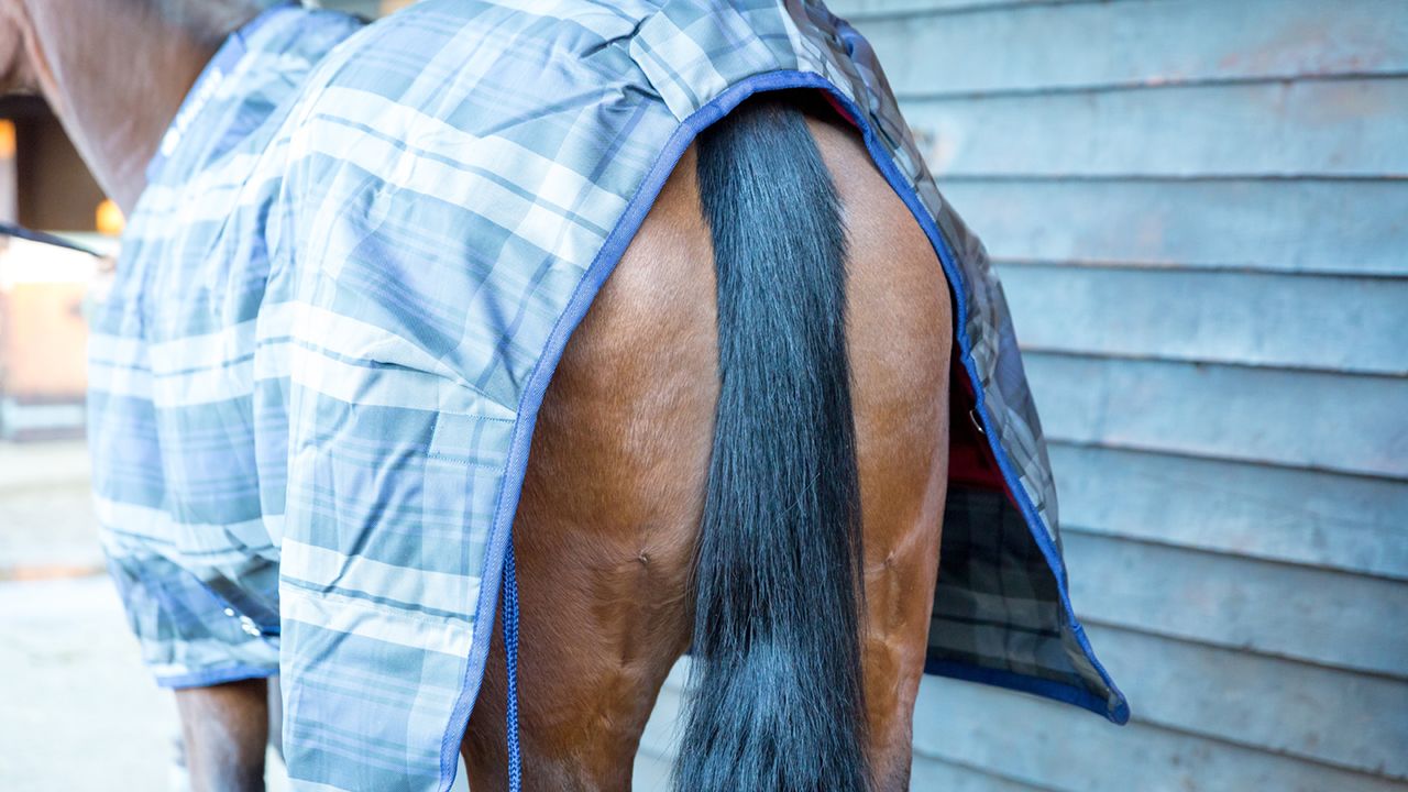 Bucas Celtic Stable Rug review
