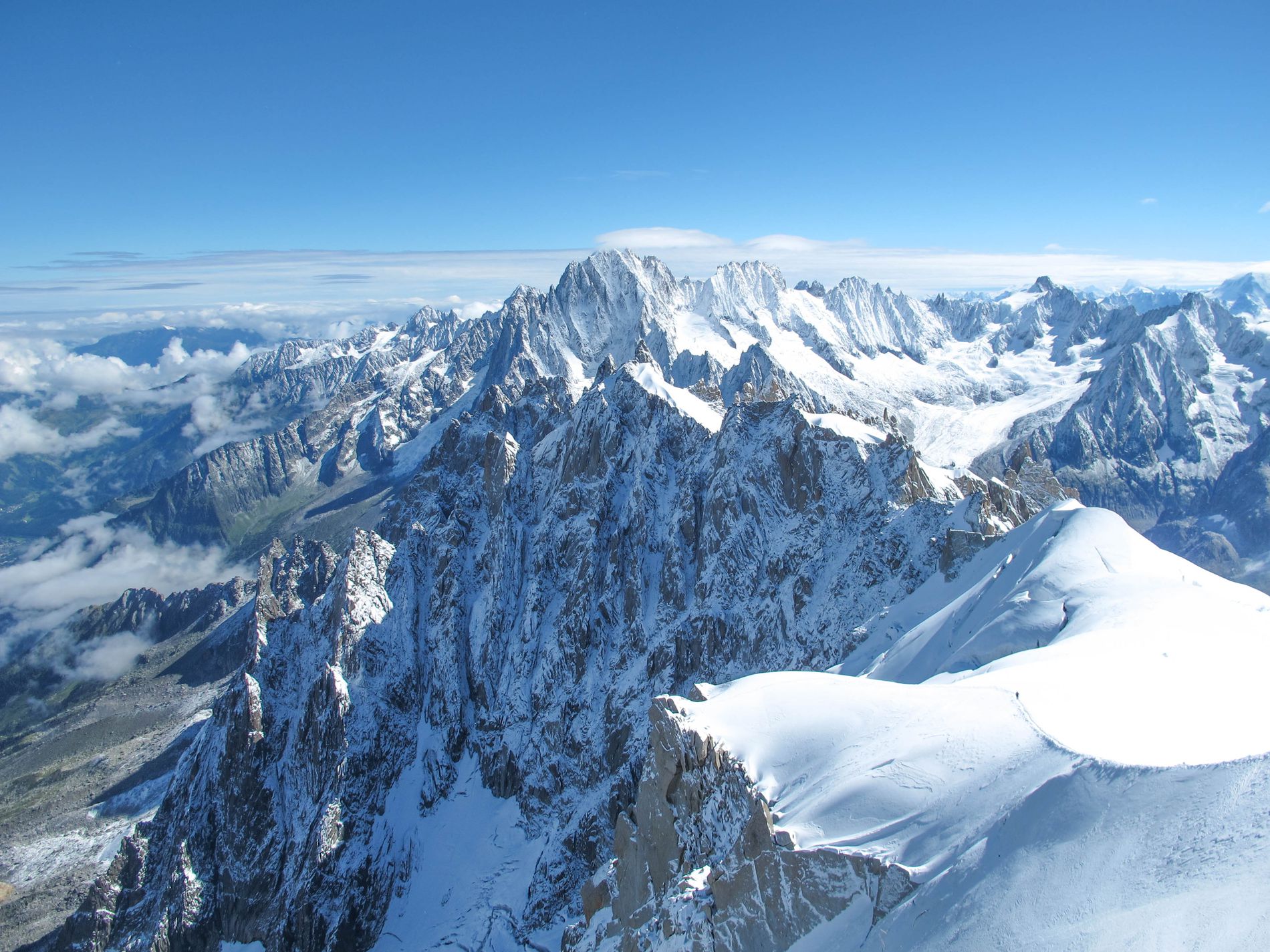 GuruShots - February 2026