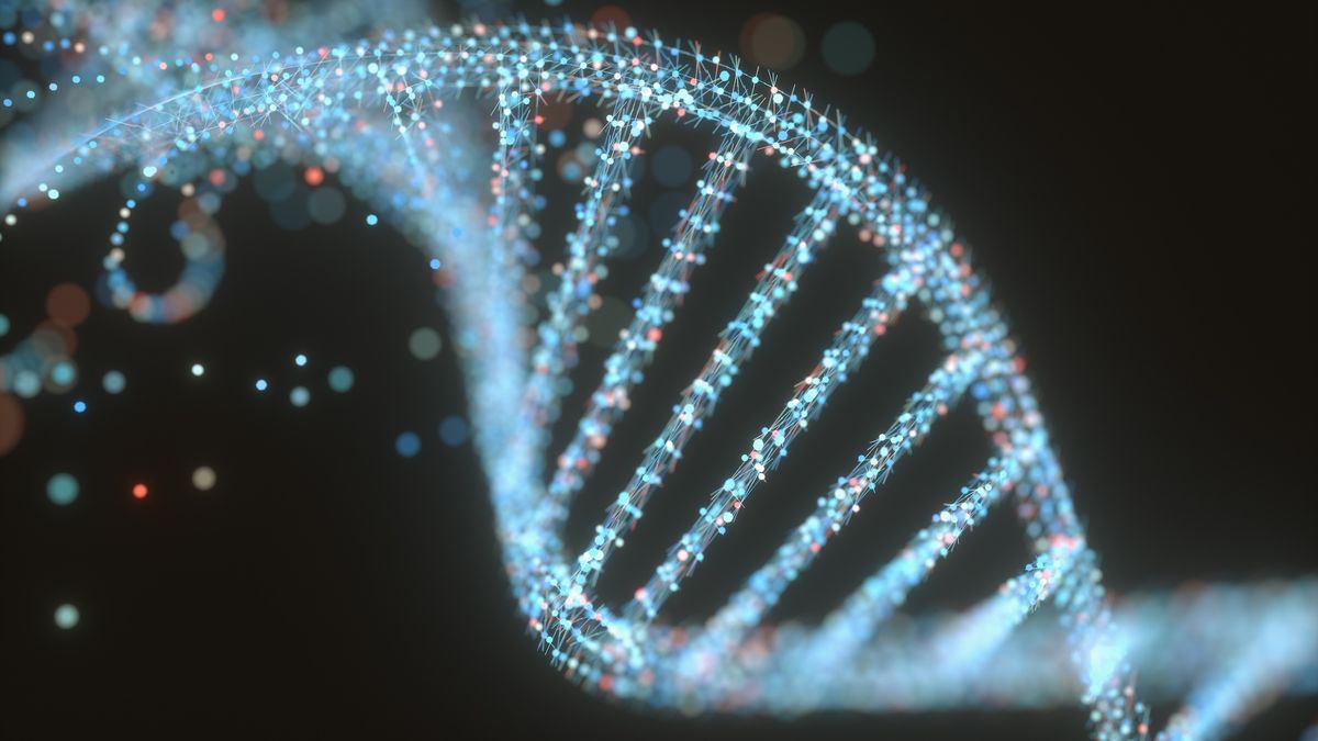an illustration of a strand of DNA
