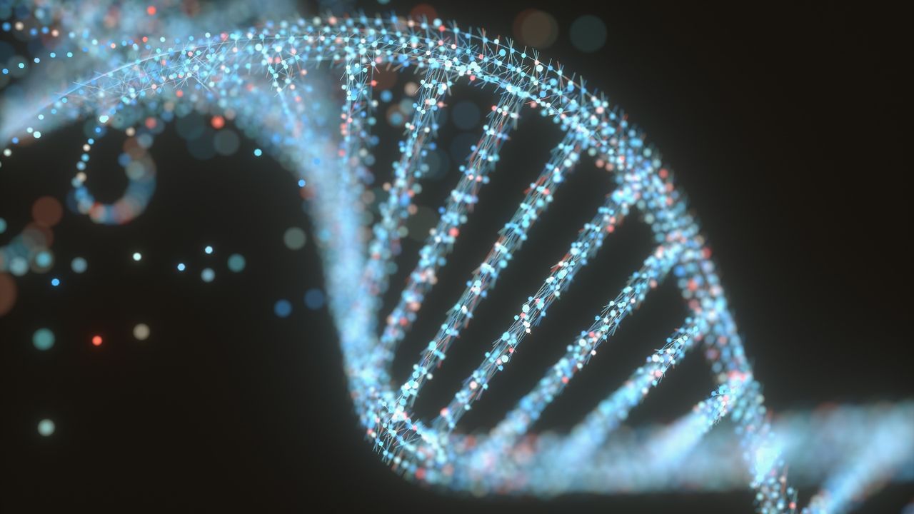 an illustration of a strand of DNA