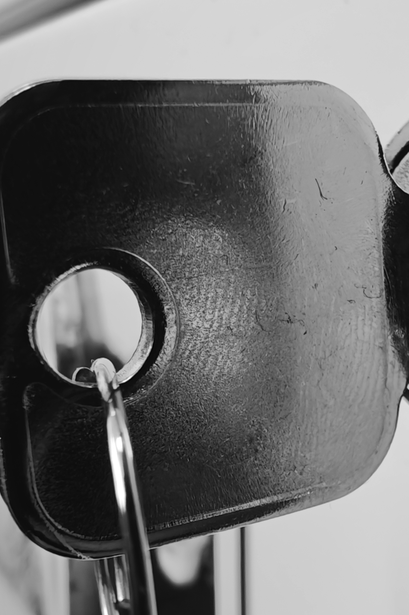 Leica Q3 Monochrom vs Leica Leitzphone macro comparison