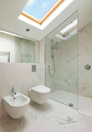 bathroom with rooflight