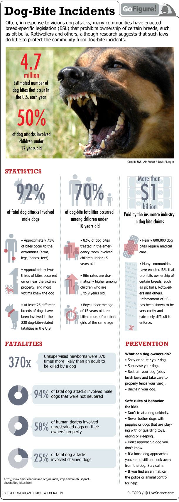 GoFigure looks at dog bite attacks in the U.S.