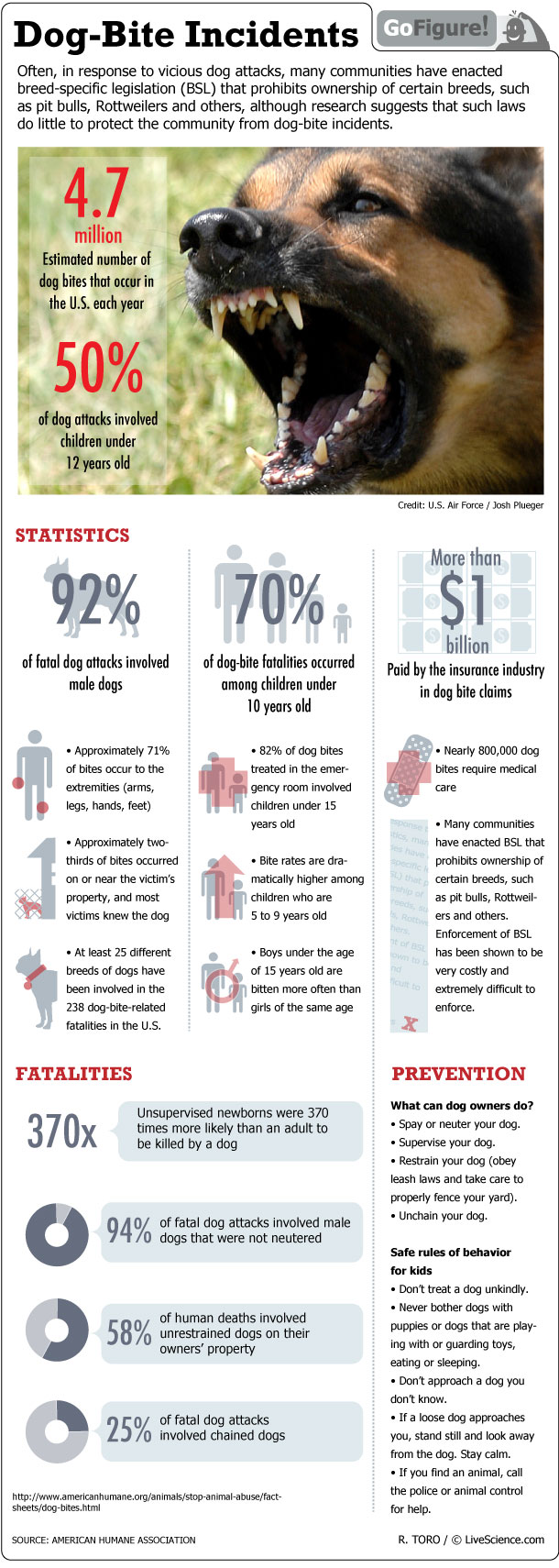 When Dogs Bite Infographic Live Science