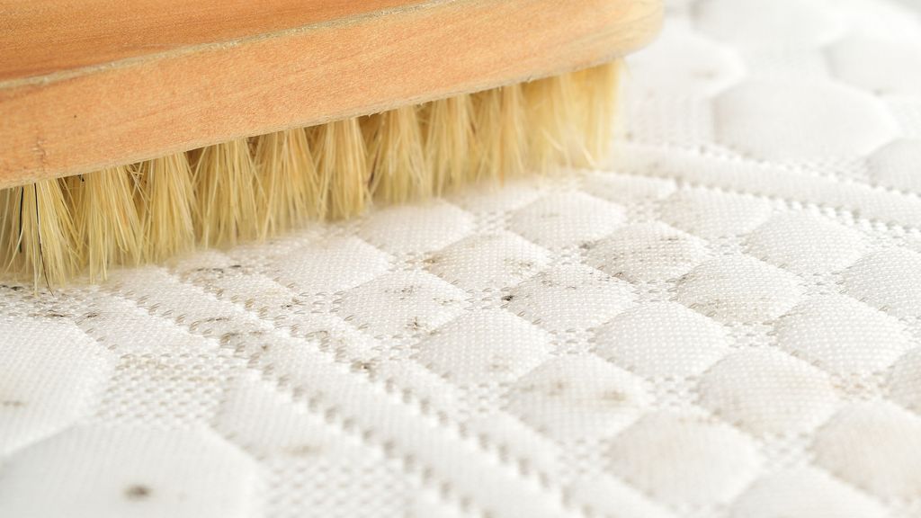 If you see or smell this on your mattress, it has gone moldy — here’s