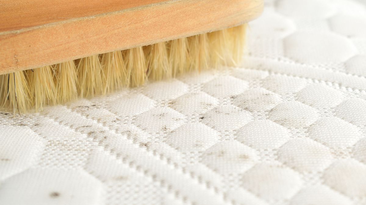 If you see or smell this on your mattress, it has gone moldy — here’s ...