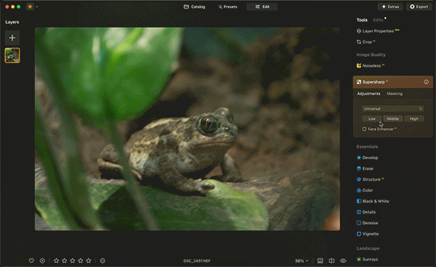 AI editing tools in Luminar Neo