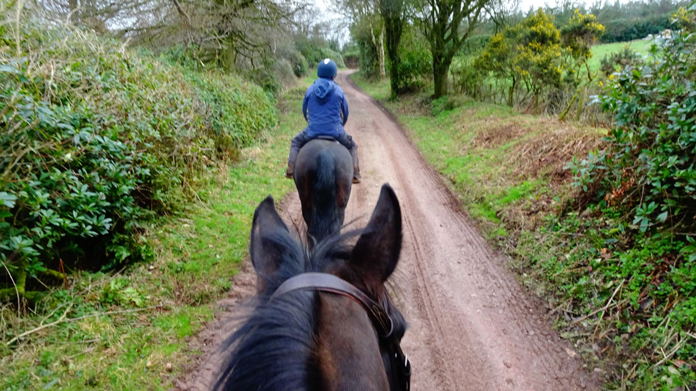 bridleways 2026