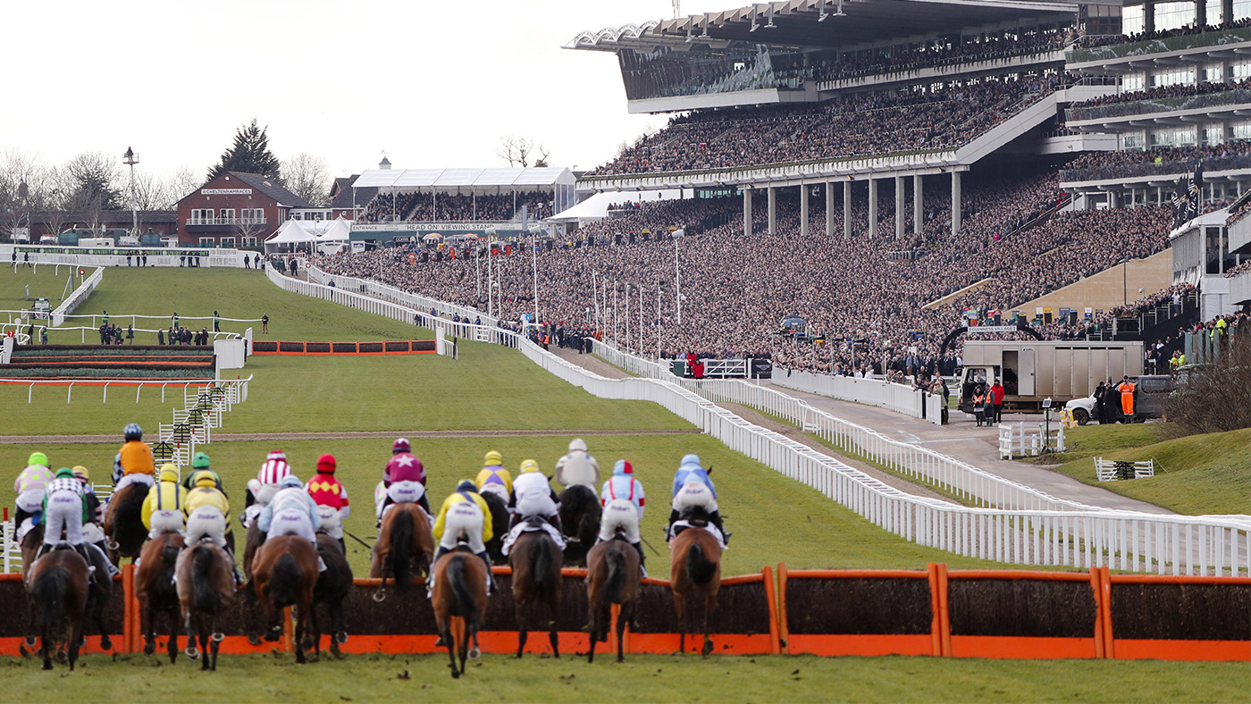 cheltenham last-minute gifts for horse lovers