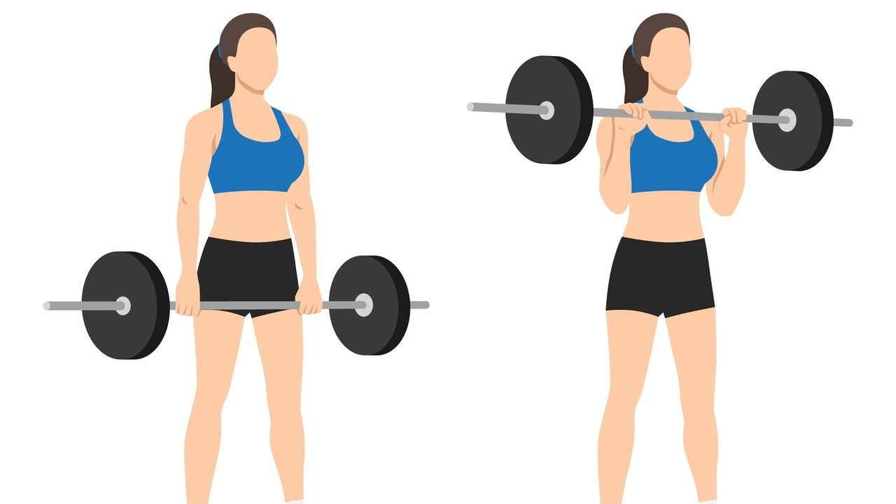 Vector barbell reverse curls