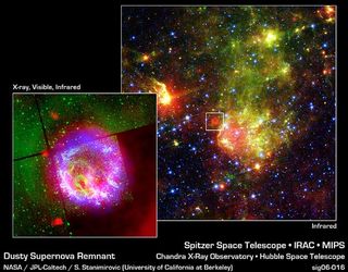 Explosive Debate: Supernova Dust Lost and Found