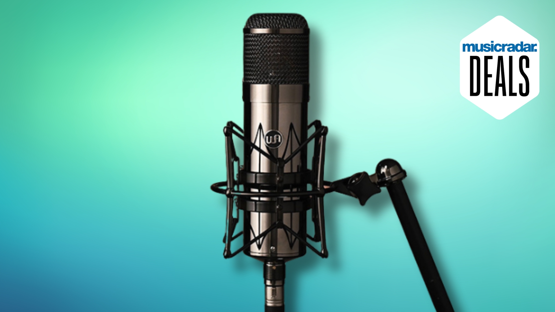 A Warm Audio tube condenser microphone