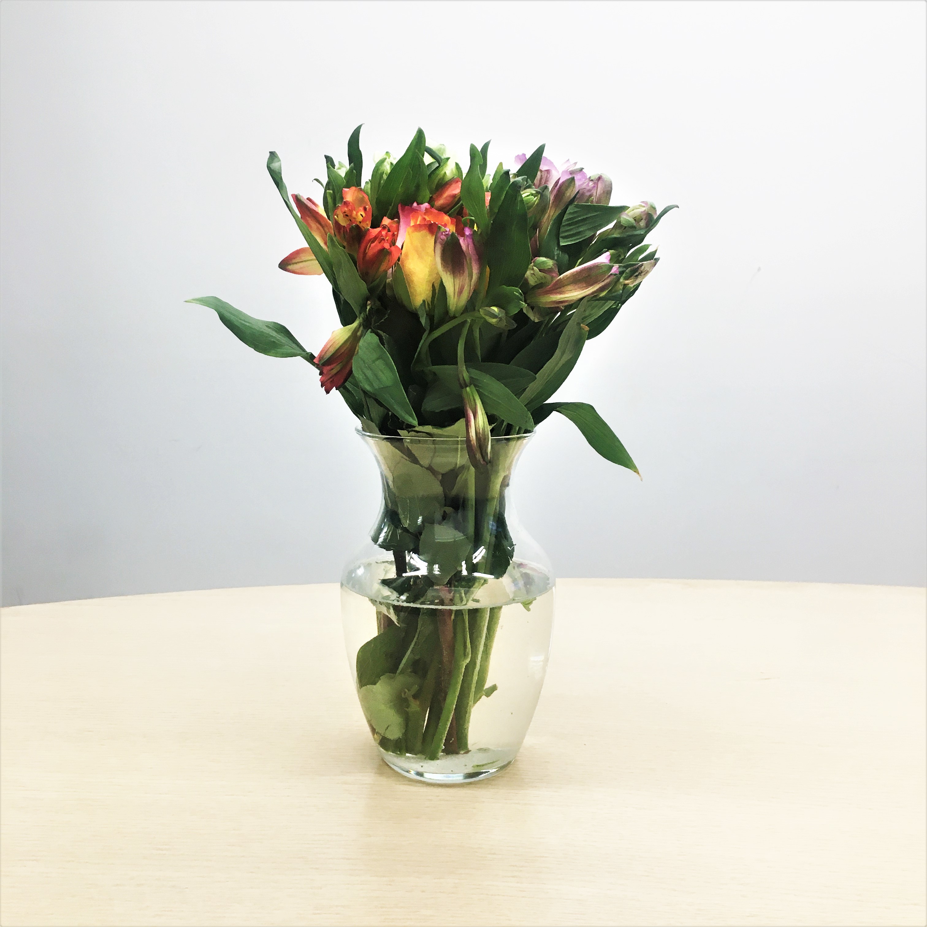 Amazon Flowers review Top Ten Reviews