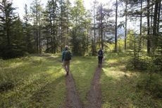 Two hikers take divergent paths in a wooded area. Symbolizes "versus" or choice between two options.