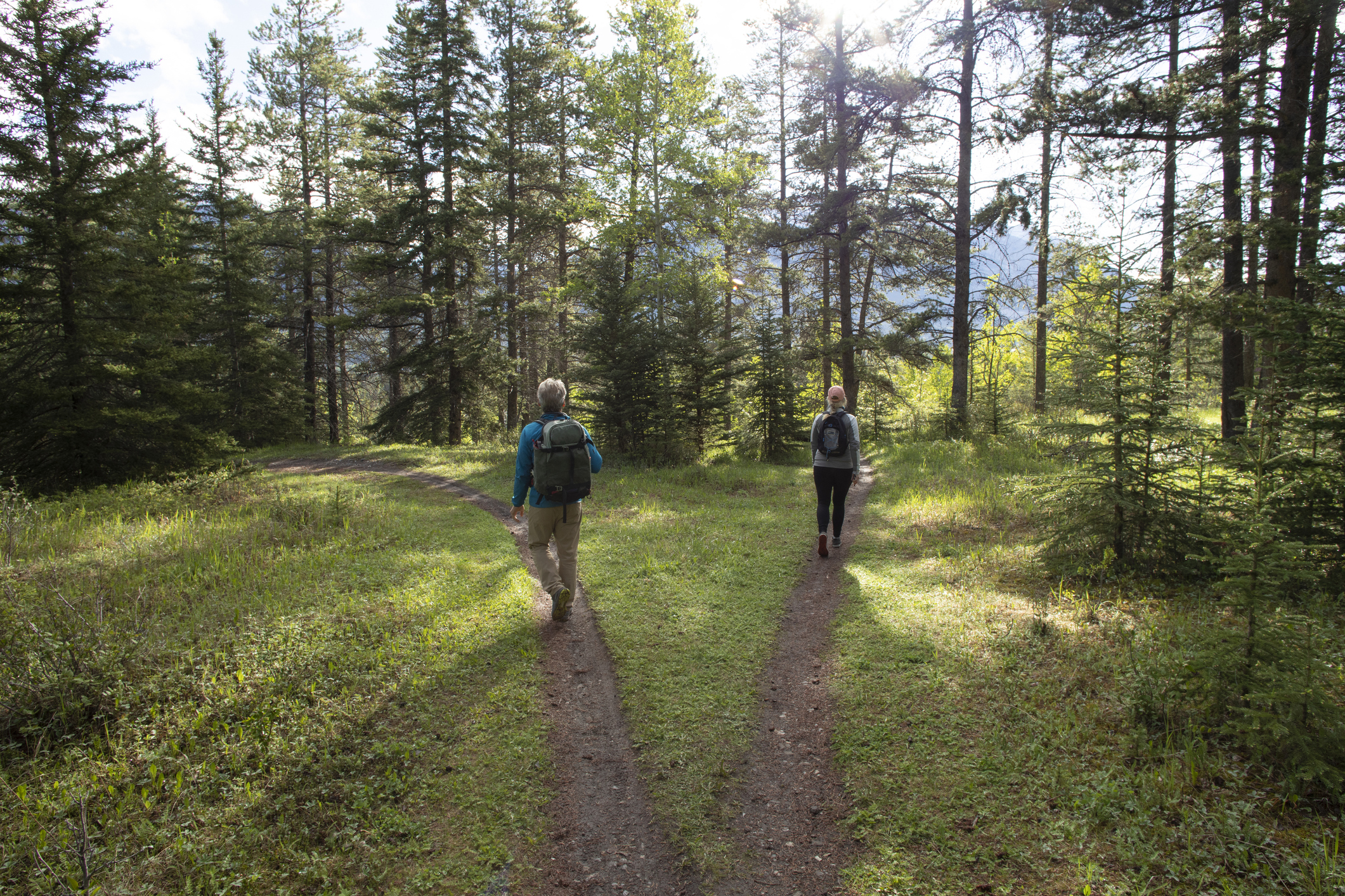 Two hikers take divergent paths in a wooded area. Symbolizes "versus" or choice between two options.