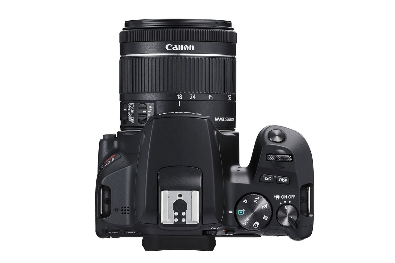 Canon EOS Rebel SL3 / EOS 250D. Image Credit: Canon