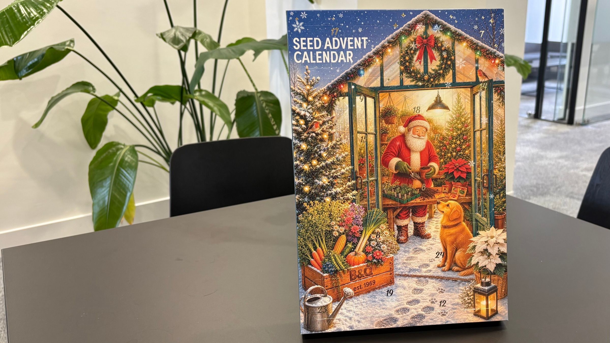 B&amp;Q Verve Shelter Seed Advent Calendar