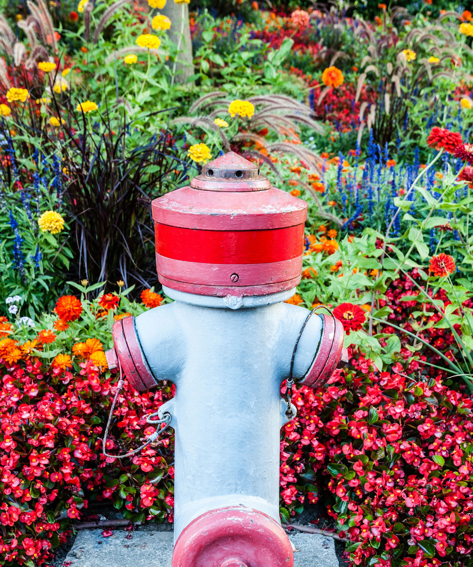 fire hydrant with mixed flower display