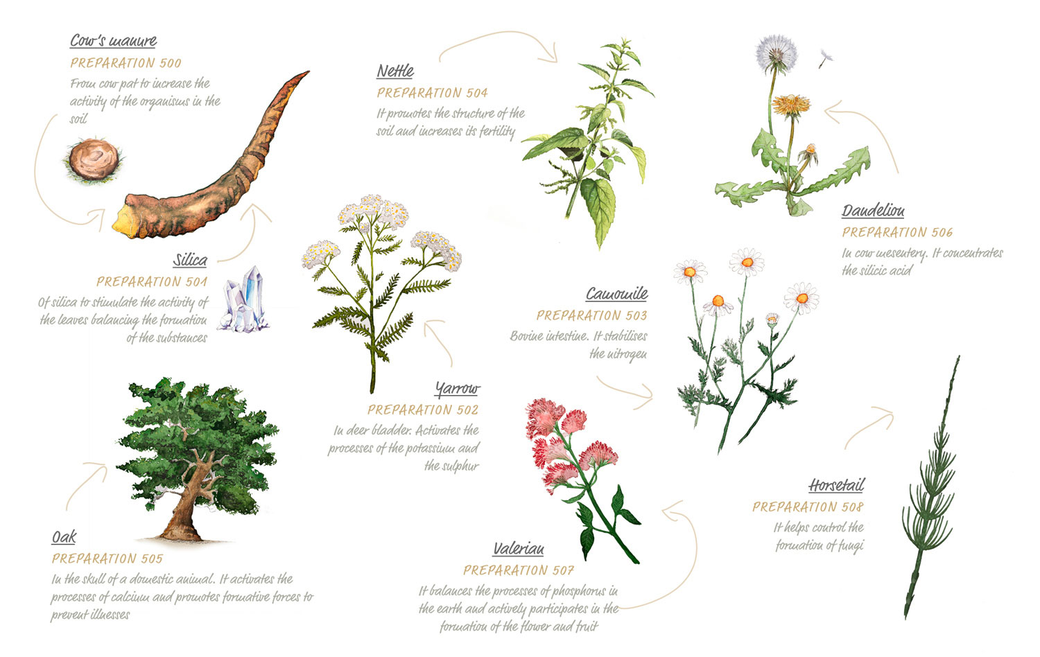 preparats_biodinamics_web.jpg