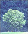 A9D0B80C-F3F4-4E70-94E8-359FC5B79EE8.jpg