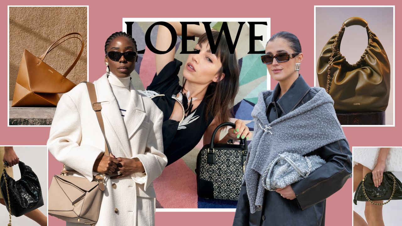 collage of loewe bags 