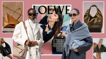 collage of loewe bags 