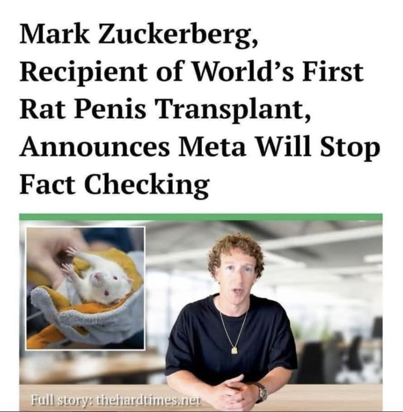 Mark Zuckerberg meme