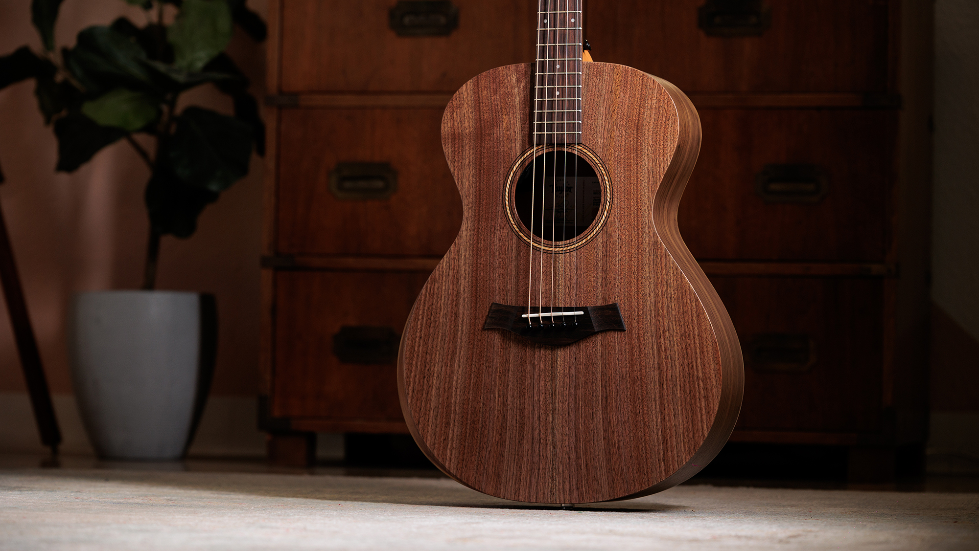 Taylor Jacob Collier signature acoustic guitar