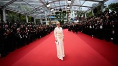 Meryl Streep on the red carpet for the opening ceremony of the 77th edition of the Cannes Film Festival on Tuesday 