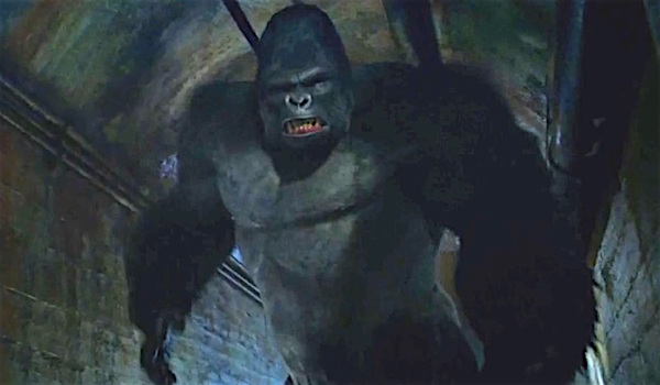 the flash gorilla grodd