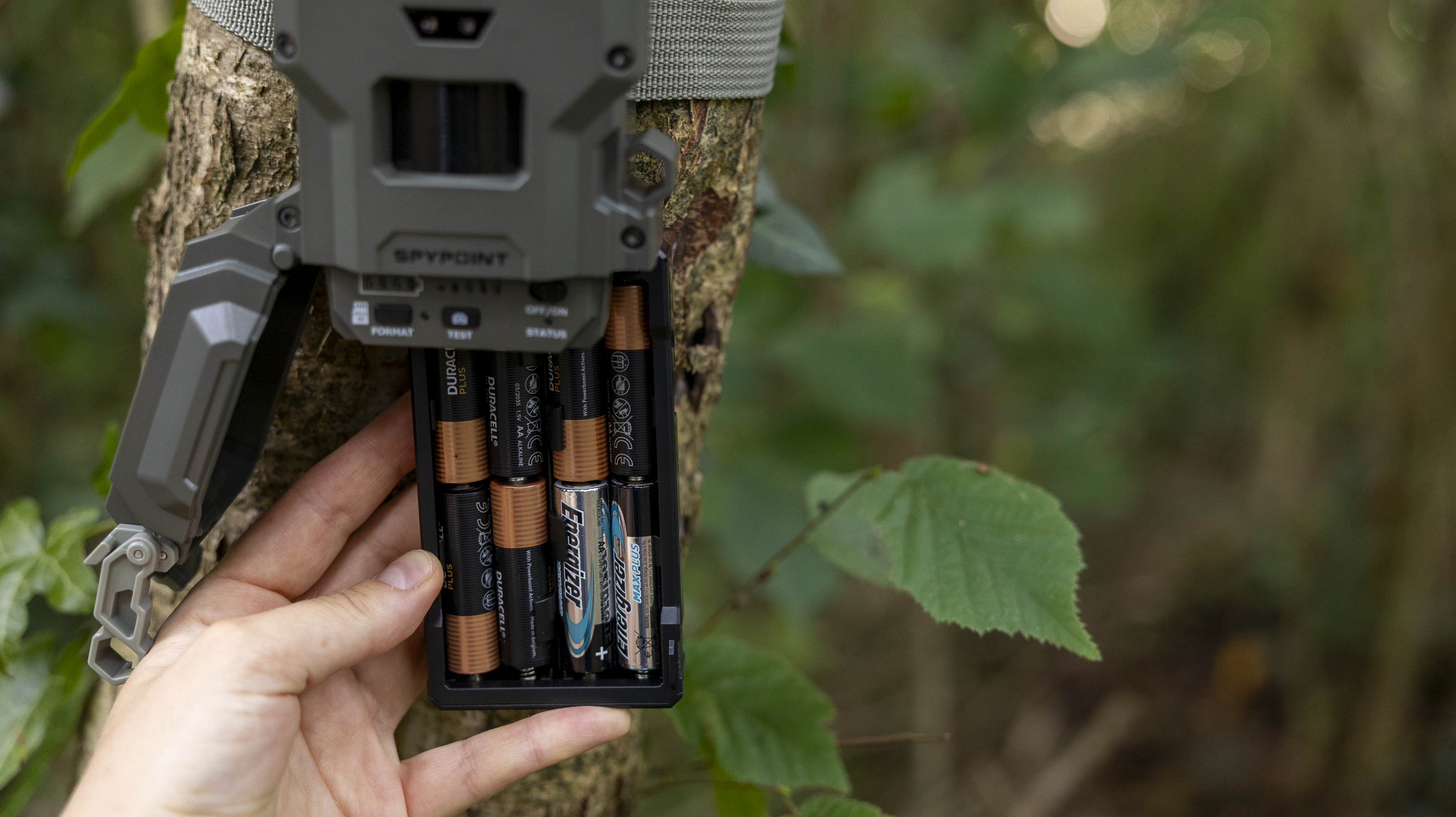 The Spypoint FLEX-M2 trail camera attached to a tree in a woodland