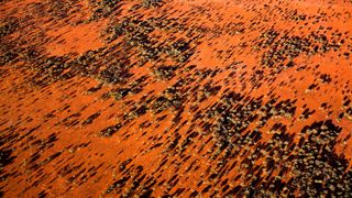 The red dirt of the Australian outback seen from above, with scattered scrubs casting long shadows