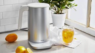 Electric programmable kettle best sale