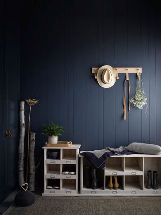 blue mudroom/bootroom/hallway storage with storage units and peg rail