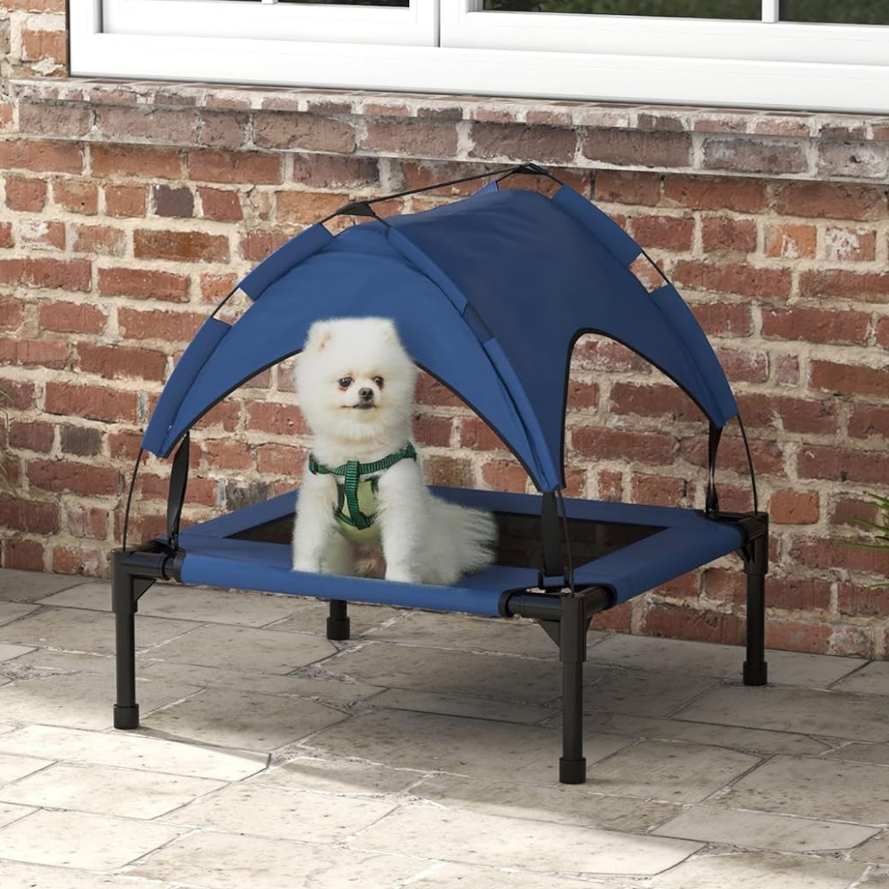 Small white dog sitting inside of the Pawhut canopy dog bed in blue in front of a brick wall outside