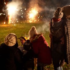family watching fireworks display in garden