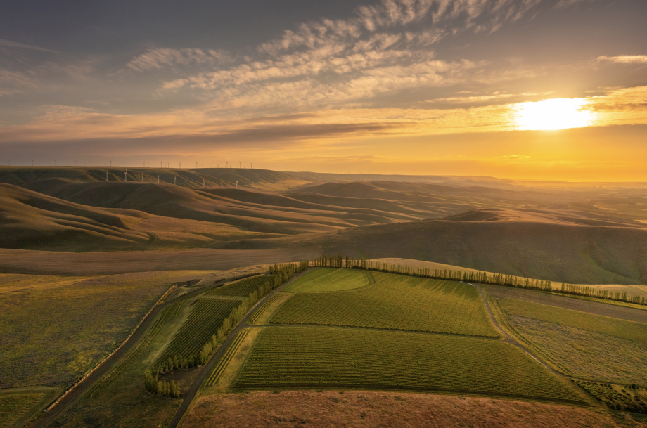 Walla Walla Valley 2020