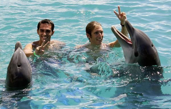 Tour de France champion Alberto Contador (left) and Tour runner-up Andy Schleck enjoy the company of dolphins while in Cura&ccedil;ao for the Amstel Cura&ccedil;ao Race.