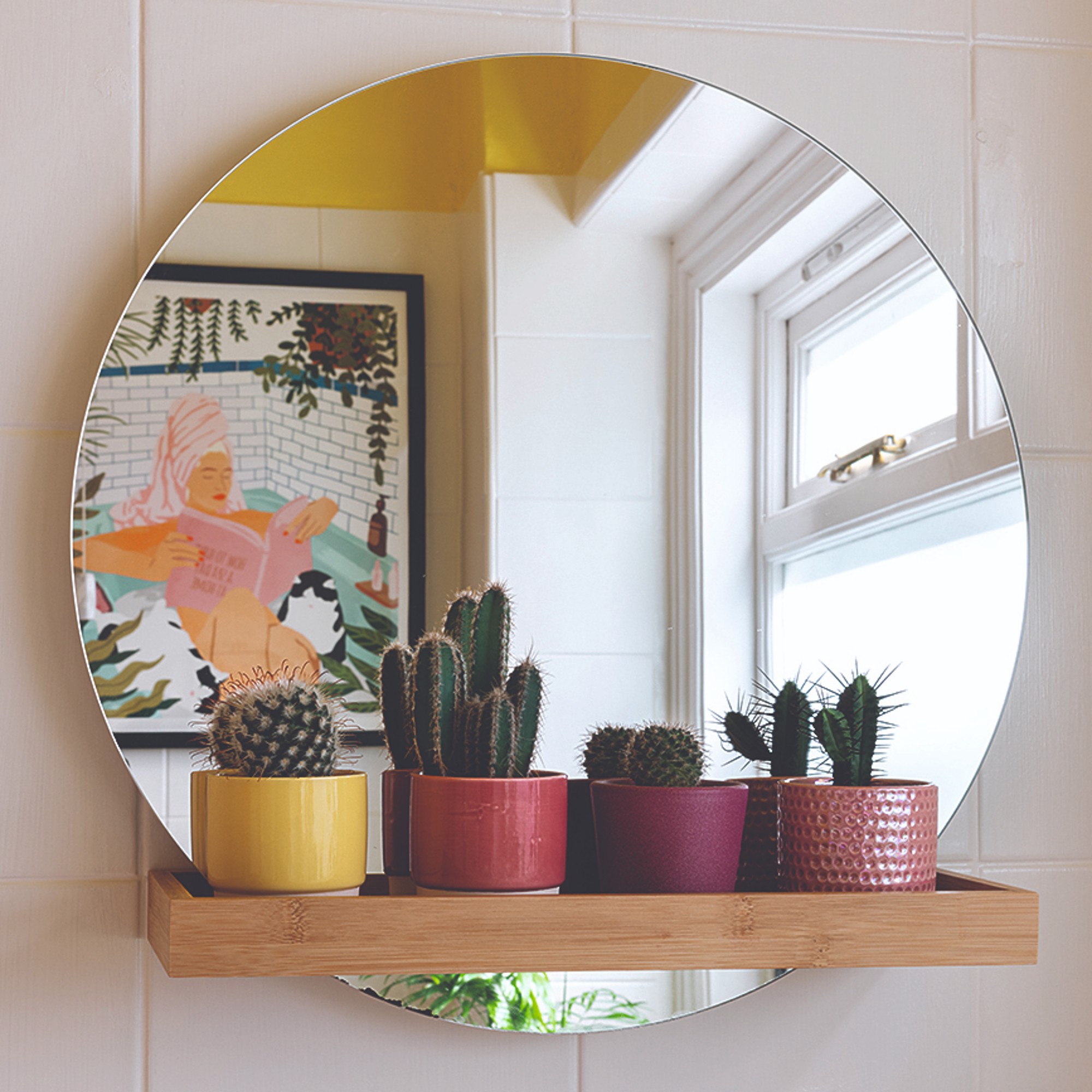 A mirror shelf in the bathroom with cacti