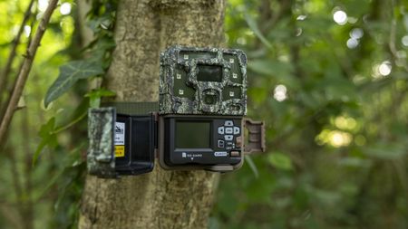 The Browning Strike Force Pro X 1080 attached to a tree in a woodland