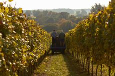 The Grange in Hampshire