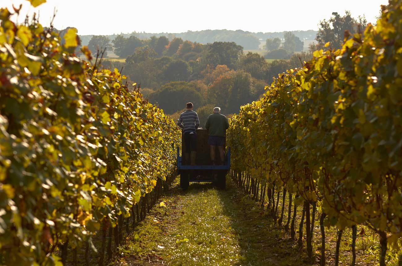 The Grange in Hampshire