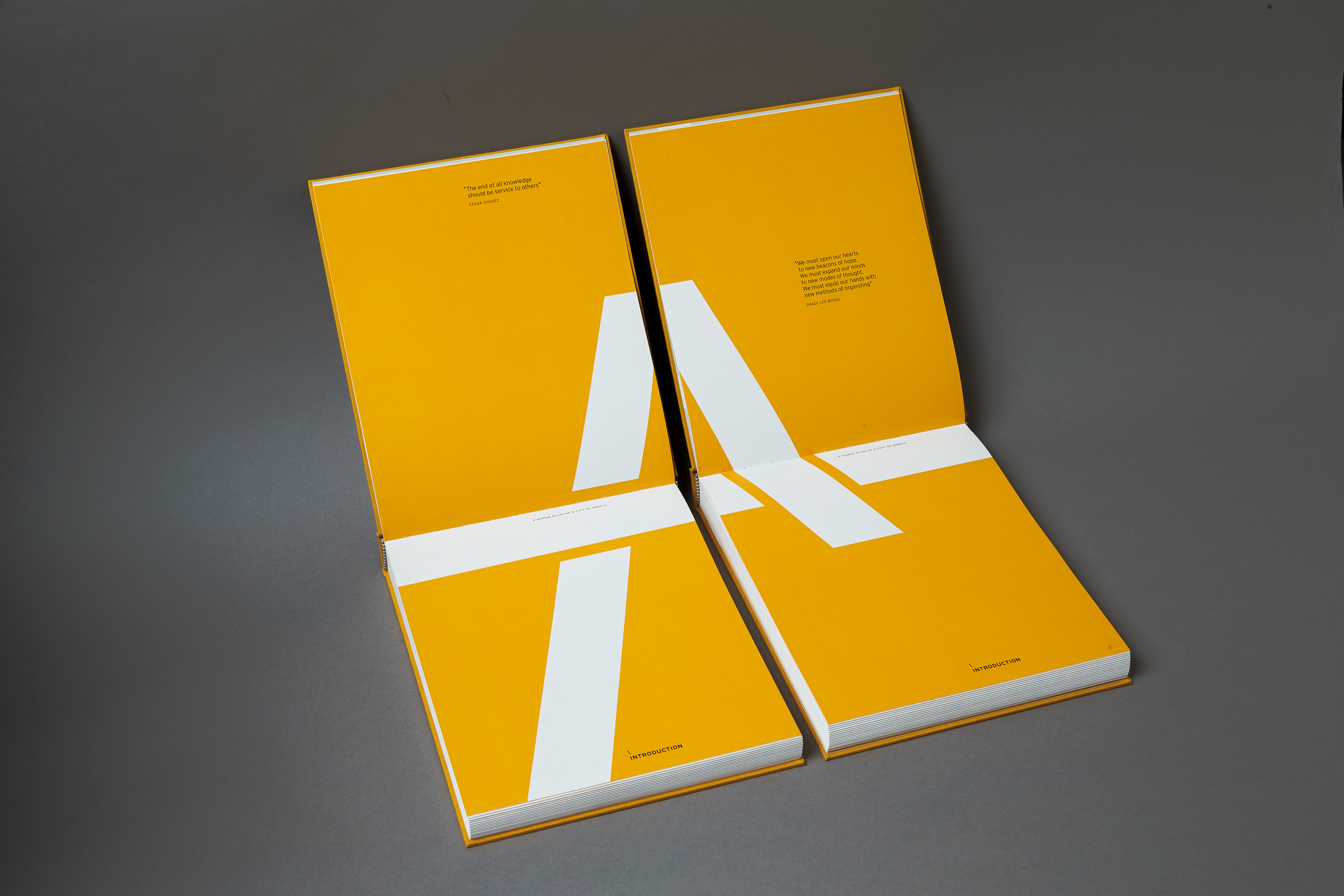 Alta / A Human Atlas of a City of Angels