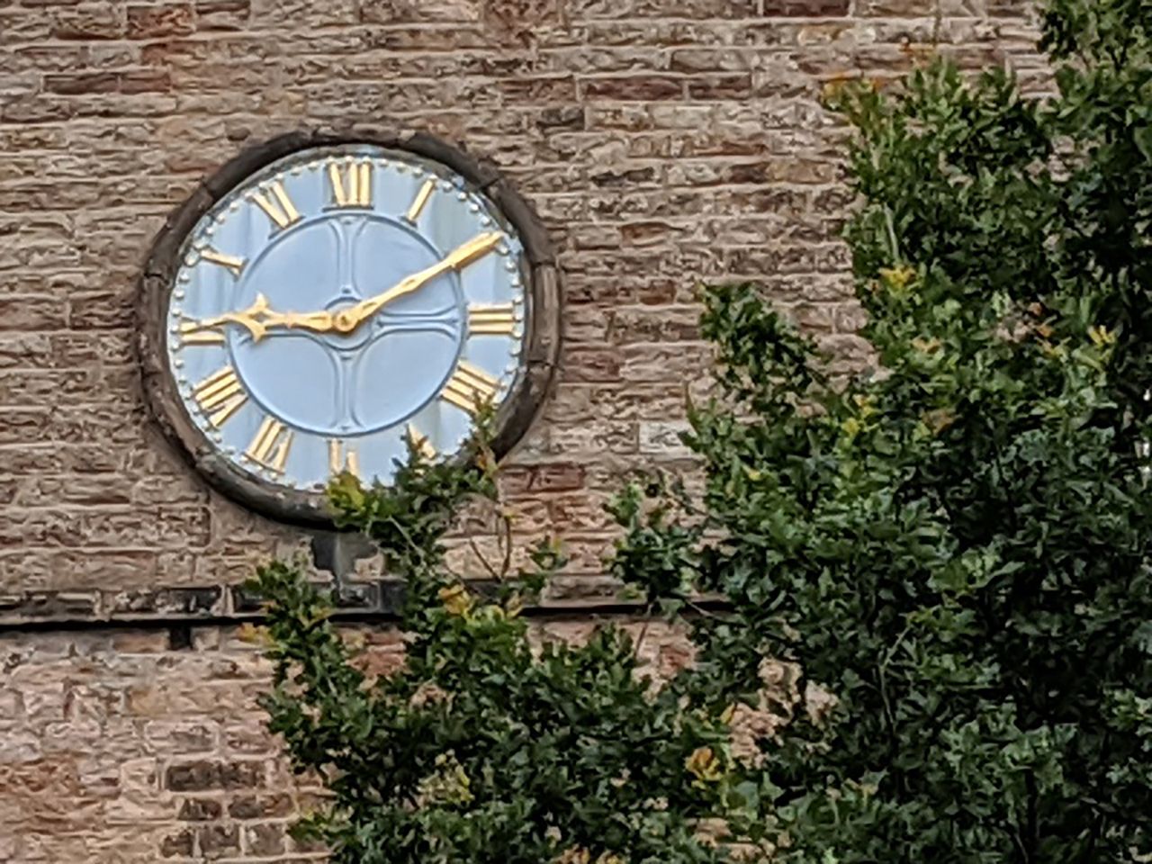 Google Pixel 4a camera sample