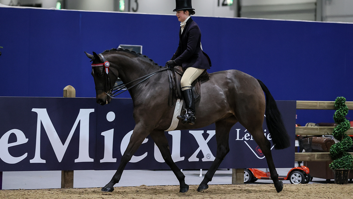 London International Horse Show